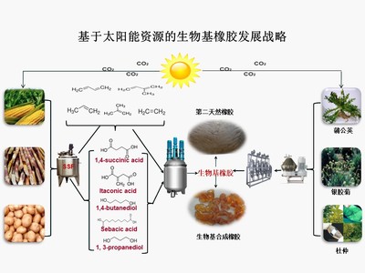 “十三五”国家重点研发计划项目“新型生物基橡胶材料制备技术与应用示范”顺利通过项目综合绩效评价