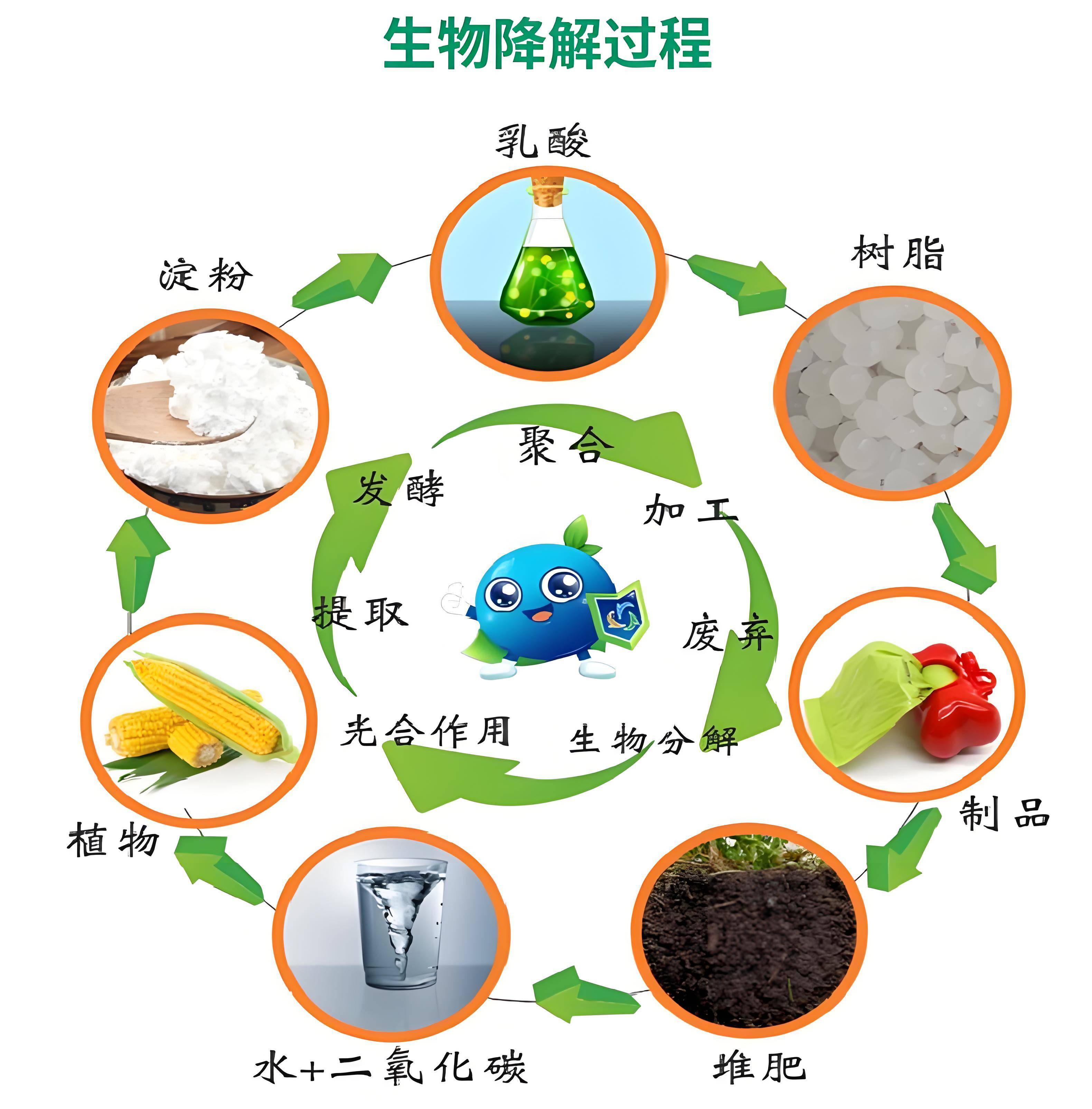 生物基材料≠生物降解材料:深入剖析两大环保材料的本质差异与关联