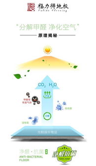 福力得认为 好地板只有一个属性 净醛