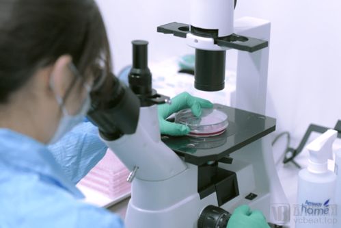 打造产业链 惠邦生物以独创能力加码IVD创新产品研发，持续发力原料市场与生物基材料技术研发