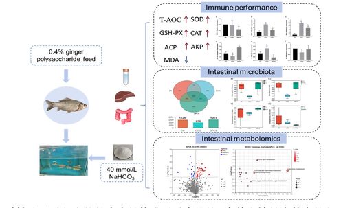 中国水产科学研究院在盐碱水域养殖与生物基材料技术研发领域取得新进展