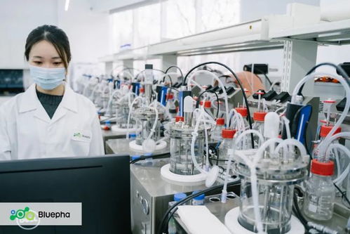 蓝晶微生物获15亿元B轮系列融资，元生资本与混改基金领投，加速生物基材料研发