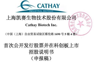 凯赛生物IPO隐忧 安全生产风险与违规行为频发