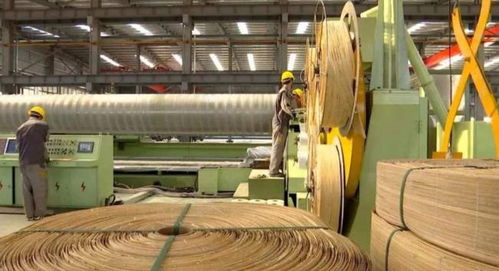 以竹代钢 中国植物基复合材料如何打造绿色高铁