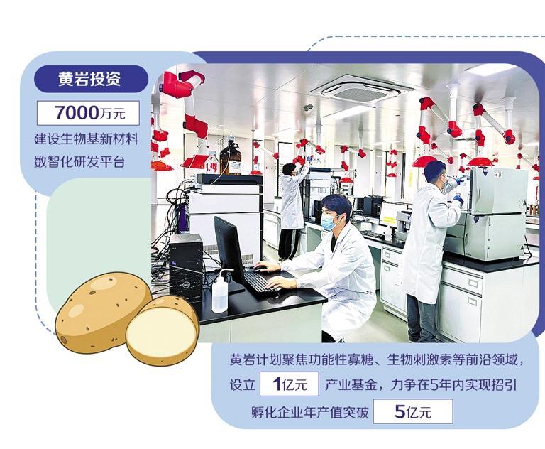 当土豆遇上算力 浙江黄岩打造生物基新材料的技术策源地